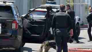 Police officers and a patrol SUV outside a facility, with a police dog near the open car door in view of the San Mateo Police Department text.